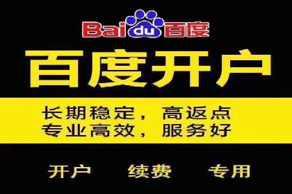 百度推广策略分享：实战案例