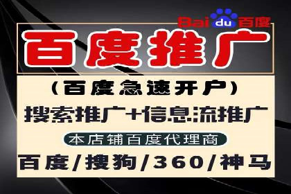 竞价SEM成功案例解析：关键词优化策略